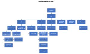 Company Organizational Chart - New Holland Rochester